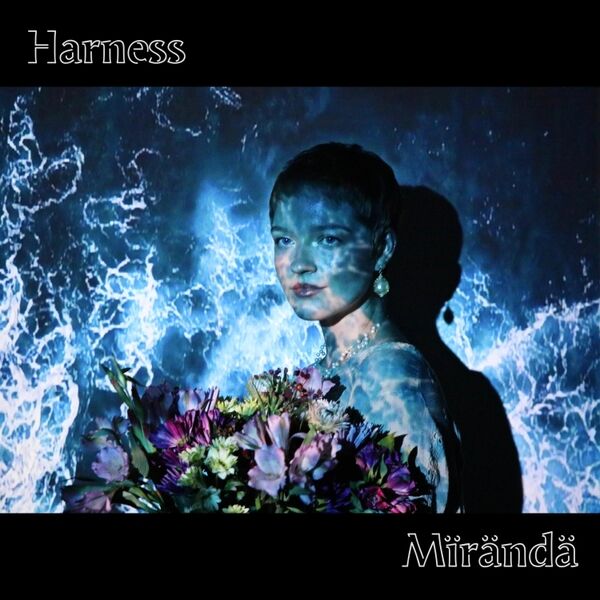 Cover art for Harness